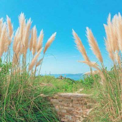 港澳宝典下载手机版