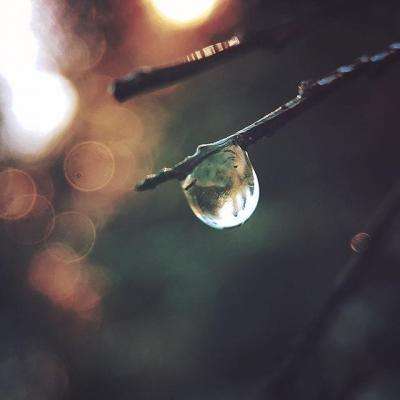 云平台app手机版下载