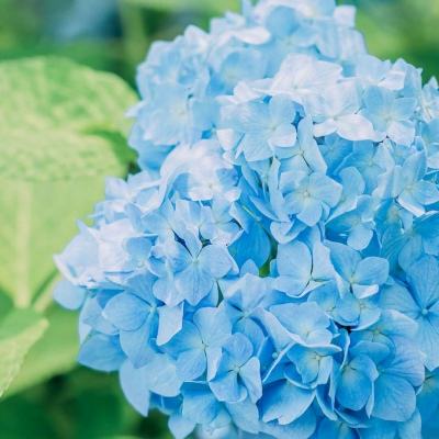 买球的app排行榜前十名推荐手机app下载